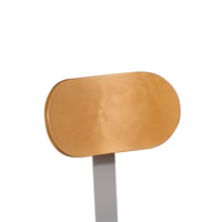 Backrest Accessory for the Adjustable Lab Stool