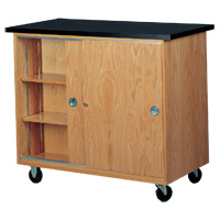 Mobile Storage Cabinet for Balances and Scales