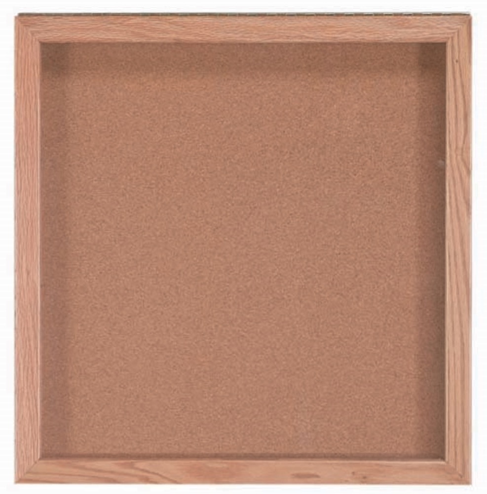 Memorabilia Display Case with Red Oak Frame