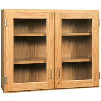 Safety Glass Door Storage Cabinets