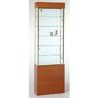 GL102 Rectangular Wall Display Case