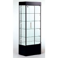 GL104 Stretched Hexagonal Tower Display Case