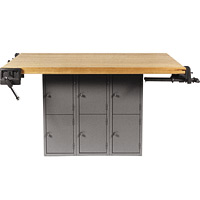 Metal Multi-Station Workbench