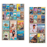 Reveal™ Magazine and Pamphlet Displays