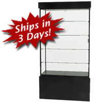 SFL902 Rectangular Wall Display Case
