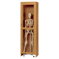 Locking Skeleton Cabinet