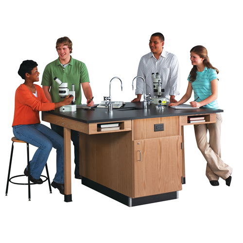 4 Student Science Lab Workstations