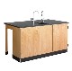 2 Student Science Table and Lab Workstation