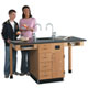 2 Student Science Lab Workstations