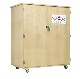 Robotics Storage Cabinet