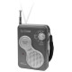 809-905 AM / FM Handheld Weather Radio