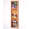 Brochure Wall Rack