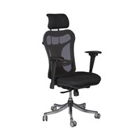 Ergonomic Office Chairs