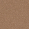 Nutmeg Spice