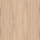 Light Oak Veneer